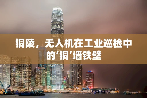 铜陵，无人机在工业巡检中的‘铜’墙铁壁