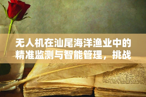 无人机在汕尾海洋渔业中的精准监测与智能管理，挑战与机遇