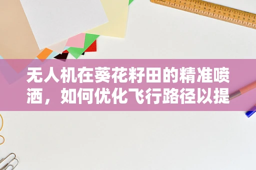 无人机在葵花籽田的精准喷洒，如何优化飞行路径以提升效率？