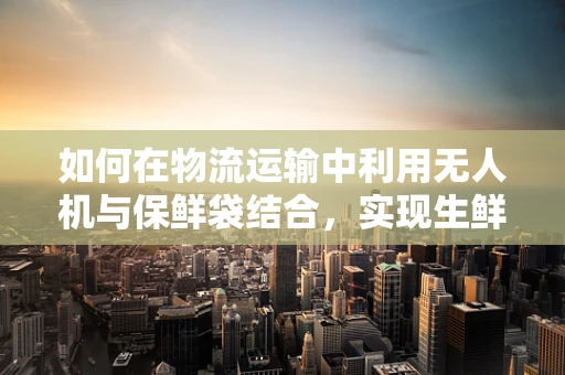 如何在物流运输中利用无人机与保鲜袋结合，实现生鲜食品的空中保鲜？