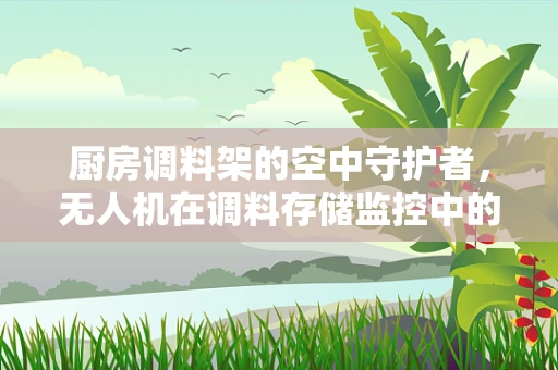 厨房调料架的空中守护者，无人机在调料存储监控中的应用？