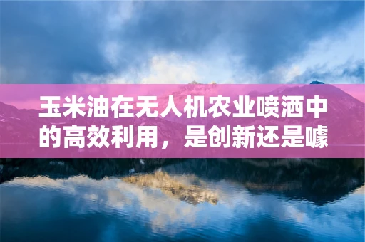 玉米油在无人机农业喷洒中的高效利用，是创新还是噱头？