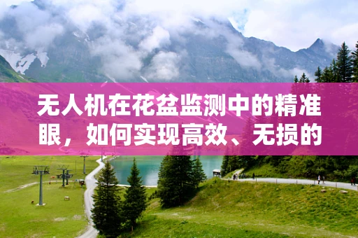 无人机在花盆监测中的精准眼，如何实现高效、无损的作物生长监控？