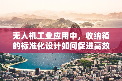 无人机工业应用中，收纳箱的标准化设计如何促进高效运维？