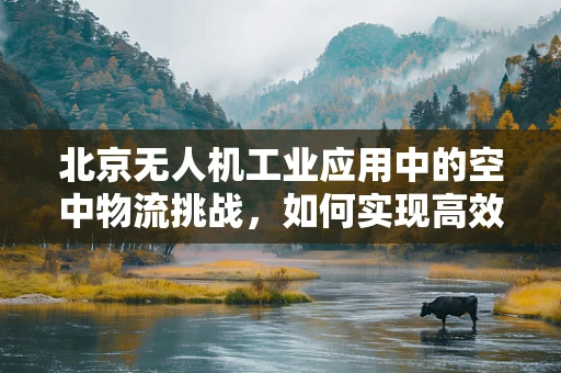 北京无人机工业应用中的空中物流挑战，如何实现高效、安全配送？