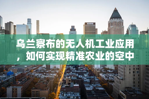 乌兰察布的无人机工业应用，如何实现精准农业的空中之眼？
