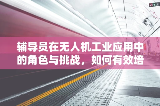 辅导员在无人机工业应用中的角色与挑战，如何有效培训与监督？