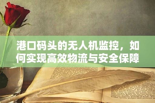 港口码头的无人机监控，如何实现高效物流与安全保障的双重保障？