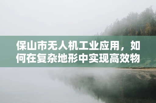 保山市无人机工业应用，如何在复杂地形中实现高效物流配送？