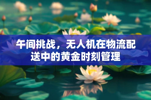 午间挑战，无人机在物流配送中的黄金时刻管理