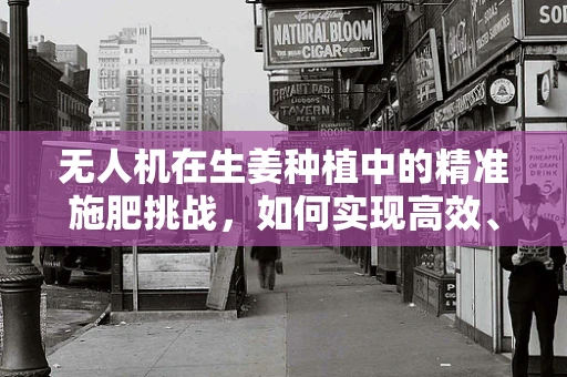 无人机在生姜种植中的精准施肥挑战，如何实现高效、无损的智能喷洒？