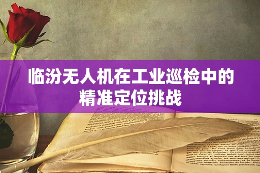 临汾无人机在工业巡检中的精准定位挑战