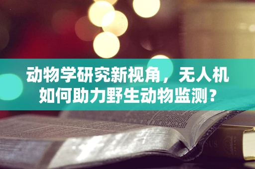 动物学研究新视角，无人机如何助力野生动物监测？