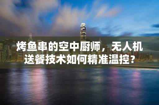 烤鱼串的空中厨师，无人机送餐技术如何精准温控？