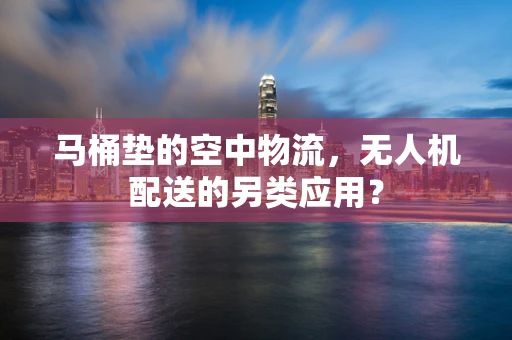 马桶垫的空中物流，无人机配送的另类应用？