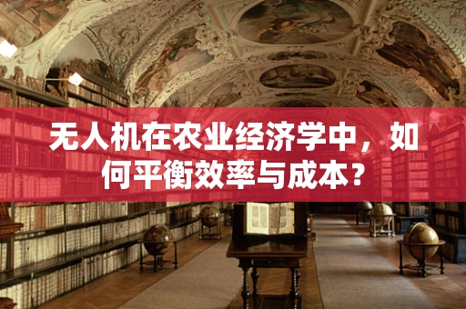 无人机在农业经济学中，如何平衡效率与成本？