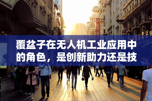 覆盆子在无人机工业应用中的角色，是创新助力还是技术瓶颈？