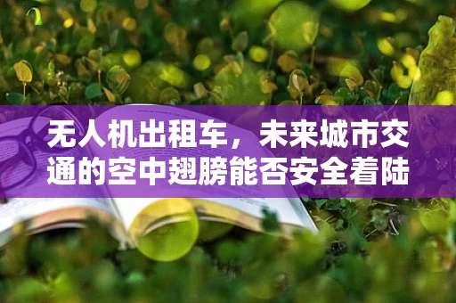 无人机出租车，未来城市交通的空中翅膀能否安全着陆？