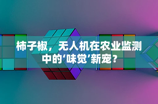 柿子椒，无人机在农业监测中的‘味觉’新宠？
