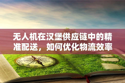 无人机在汉堡供应链中的精准配送，如何优化物流效率？
