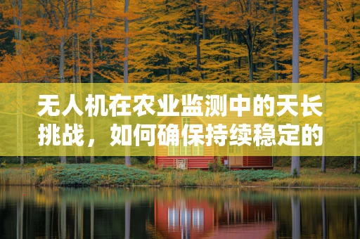 无人机在农业监测中的天长挑战，如何确保持续稳定的飞行与数据收集？