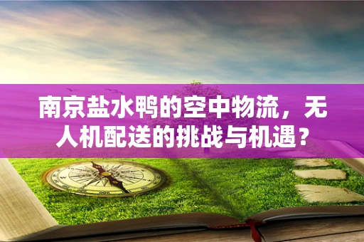 南京盐水鸭的空中物流，无人机配送的挑战与机遇？