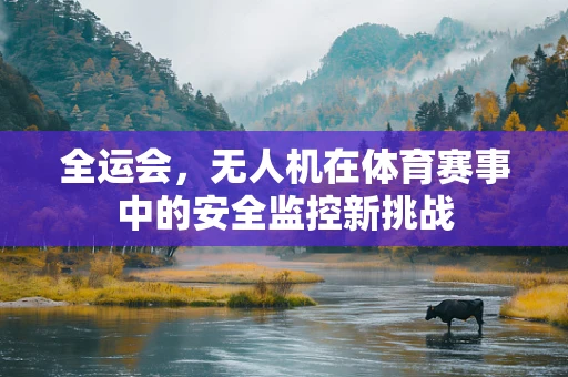 全运会，无人机在体育赛事中的安全监控新挑战