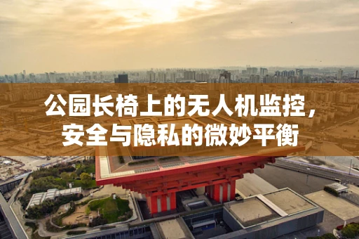公园长椅上的无人机监控，安全与隐私的微妙平衡