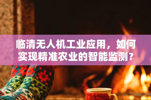 临清无人机工业应用，如何实现精准农业的智能监测？