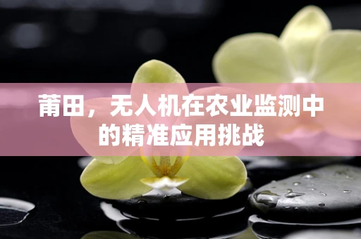 莆田，无人机在农业监测中的精准应用挑战