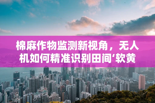 棉麻作物监测新视角，无人机如何精准识别田间‘软黄金’？