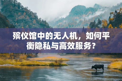 殡仪馆中的无人机，如何平衡隐私与高效服务？