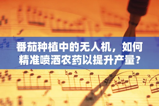 番茄种植中的无人机，如何精准喷洒农药以提升产量？