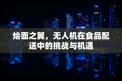 烩面之翼，无人机在食品配送中的挑战与机遇
