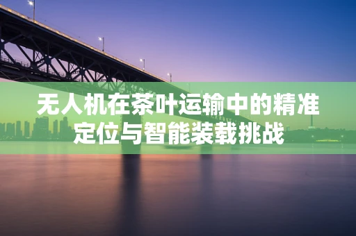 无人机在茶叶运输中的精准定位与智能装载挑战