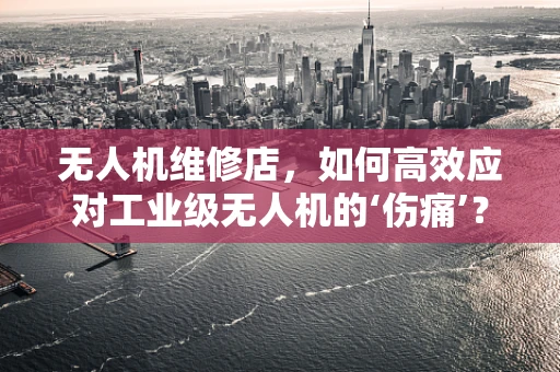 无人机维修店，如何高效应对工业级无人机的‘伤痛’？