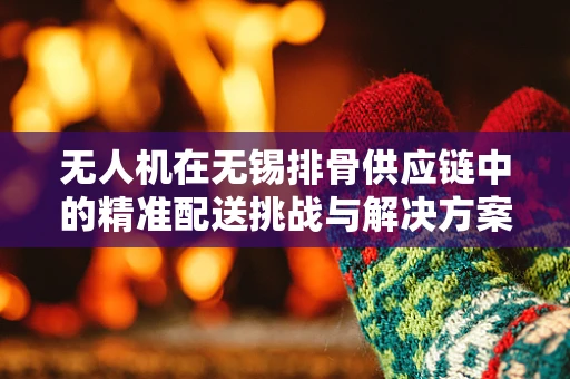 无人机在无锡排骨供应链中的精准配送挑战与解决方案