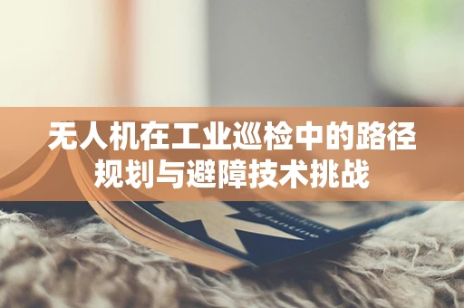 无人机在工业巡检中的路径规划与避障技术挑战