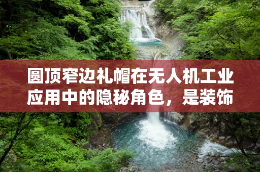 圆顶窄边礼帽在无人机工业应用中的隐秘角色，是装饰还是功能？