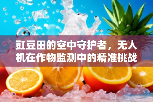 豇豆田的空中守护者，无人机在作物监测中的精准挑战