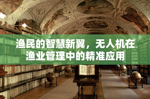渔民的智慧新翼，无人机在渔业管理中的精准应用