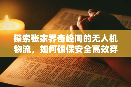 探索张家界奇峰间的无人机物流，如何确保安全高效穿越阿凡达世界？