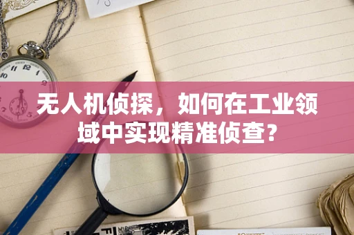 无人机侦探，如何在工业领域中实现精准侦查？