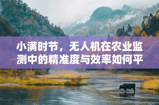 小满时节，无人机在农业监测中的精准度与效率如何平衡？
