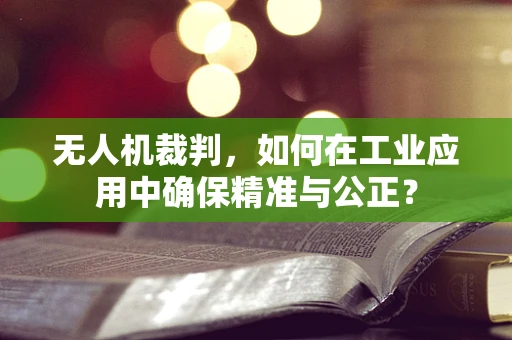 无人机裁判，如何在工业应用中确保精准与公正？
