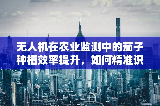 无人机在农业监测中的茄子种植效率提升，如何精准识别与优化？