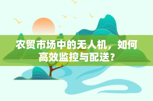 农贸市场中的无人机，如何高效监控与配送？