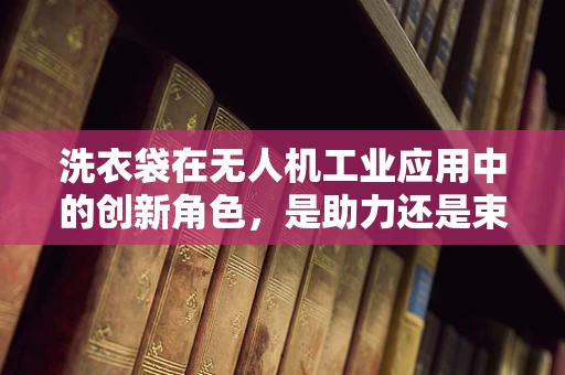洗衣袋在无人机工业应用中的创新角色，是助力还是束缚？