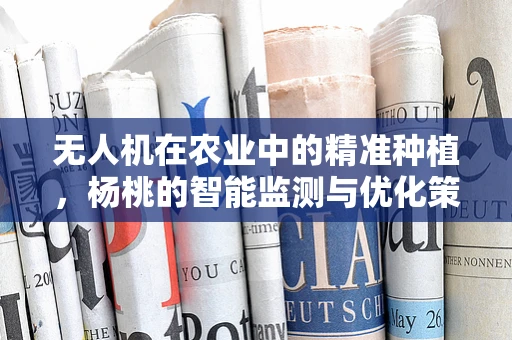 无人机在农业中的精准种植，杨桃的智能监测与优化策略