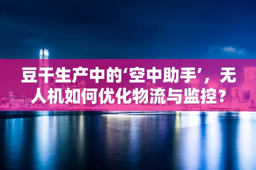 豆干生产中的‘空中助手’，无人机如何优化物流与监控？